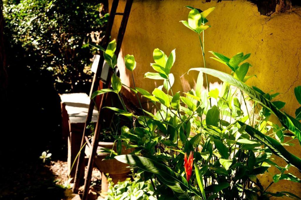 Khun Nai Tern Sai Hotel (Adults Only) Пай Екстериор снимка